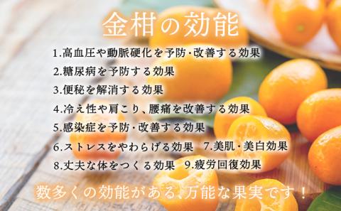KU204 串間産きんかん使用！「無添加」にこだわったきんかんコンポートときんかんキャラメルのセット(2種・合計4個)【とみやま】