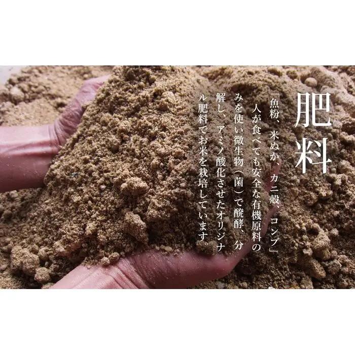 【令和7年】関智晴がつくる南魚沼塩沢産コシヒカリ10kg（5kg×2個） 8割減農薬栽培米 | コシヒカリ