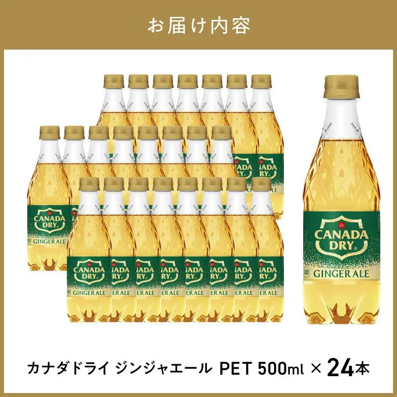 カナダドライジンジャーエール 500mlPET（24本入） 飲料 ドリンク コカ・コーラ ジンジャーエキス 水分補給 常備 保存 買い置き PET 人気 おすすめ  BB-0012