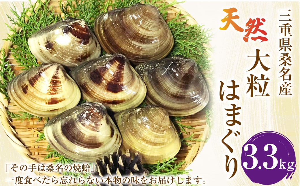 【指定日必須】【配送不可地域有】マルヨシ水産 桑名産大粒天然蛤 3.3kg（約25～30個）はまぐり ハマグリ 魚介 貝 魚貝 活はまぐり 焼きはま 海鮮 網焼き 酒蒸し お吸い物 パエリア パスタ