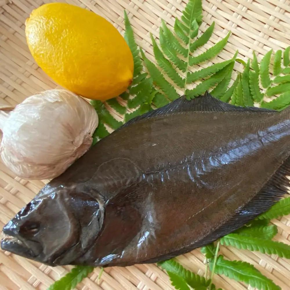 瀬戸内・島育ち ヒラメの旨みを凝縮した塩味「笠戸ひらめらーめん」 ／ 笠戸ひらめ ひらめらーめん ラーメンセット 4食入り ひらめの旨味 一夜干し ひらめきぼし あっさり塩味 上品な塩味 乾麺 せとき