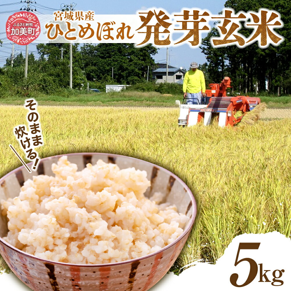 【ふるさと納税】発芽玄米 簡単に炊ける 宮城県産 ひとめぼれ 発芽 玄米 5kg （ 1kg × 5袋 ） / 菅原商店 / 宮城県 加美町 白米 に 混ぜる だけ ！ 簡単 炊飯 玄米 sg-hb05-hg