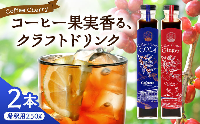 
            【先行予約】【2025年7月中旬から順次発送】カフェテーロ葉山　コーヒーチェリーコーラ 1本 コーヒーチェリージンジャー 1本 計2本 / コーラ エナジードリンク 酸味 コーヒー  神奈川県 葉山町 クラフトコーラ 天然 ドリンク 炭酸【合同会社エンディレクト】 [ASBM006]
          
