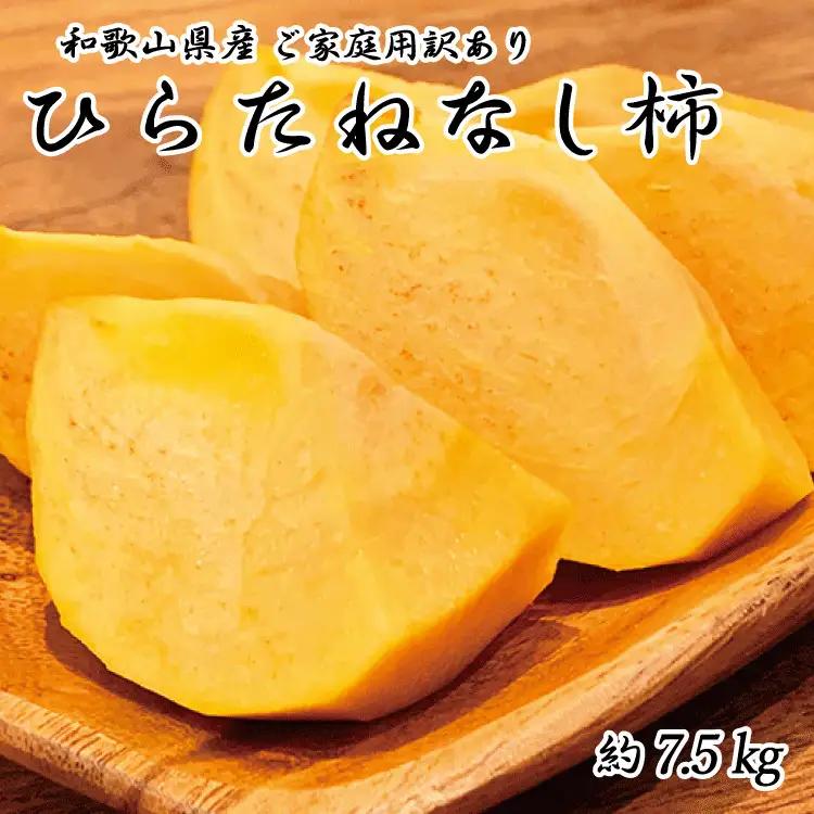 【2026年発送分予約】【ご家庭用わけあり】和歌山秋の味覚　平核無柿（ひらたねなしがき）　約7.5kg	※2026年10月上旬頃〜11月上旬頃に順次発送（お届け日指定不可）【uot718A】