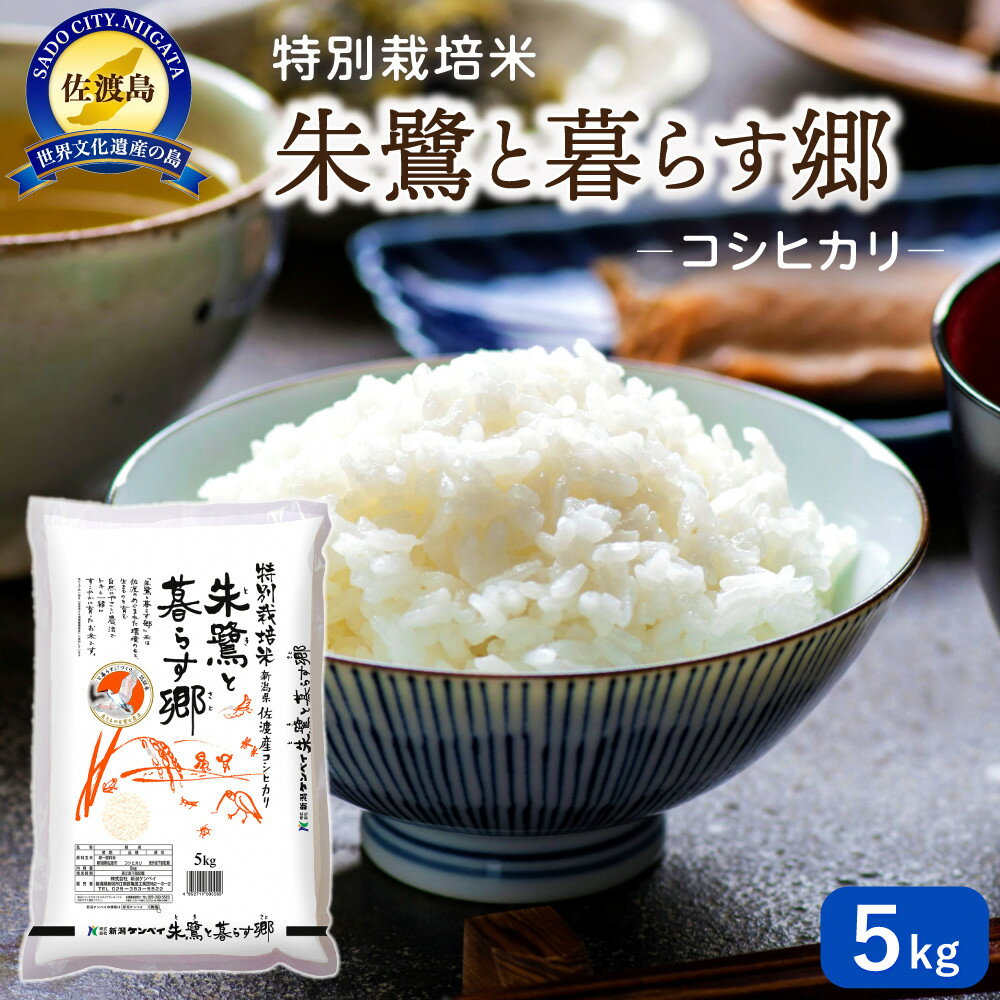 【ふるさと納税】米 コシヒカリ 佐渡産 ( 5kg／10kg／定期便 ) 朱鷺と暮らす郷 | お米 こめ 白米 食品 人気 おすすめ 送料無料 お楽しみ コメ 精米 ご飯 ごはん 新潟 佐渡市