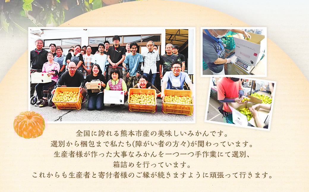 【規格外品】熊本市産 みかん ご家庭用 15kg 不揃い