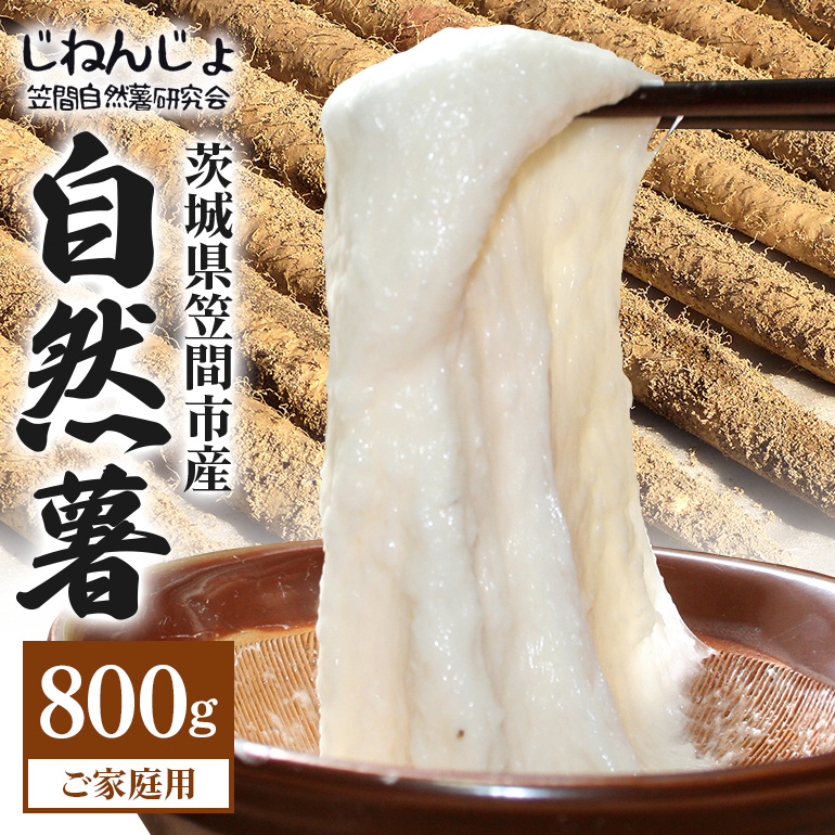 笠間自然薯研究会の自然薯 ご家庭用 約800g 自然薯 長芋 山芋 とろろ とろろご飯 野菜 ねばねば 健康食品 美容効果 笠間市産 茨城県産 栄養たっぷり ギフトに最適 新鮮 国内生産 高級根菜 美容 健康 美味しい 産地直送  滋養強壮 DG-004