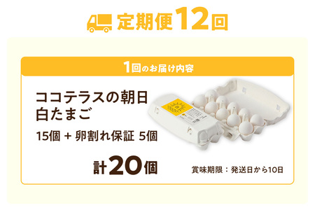 【12ヵ月定期便】ココテラスの朝日（白たまご）15個 + 5個保証（計20個）【JGAP認証】 農家直送 新鮮 卵 タマゴ 白卵 玉子 鶏卵 朝食 夕食 夜食 朝ごはん たまご焼き だし巻き卵 オムレ