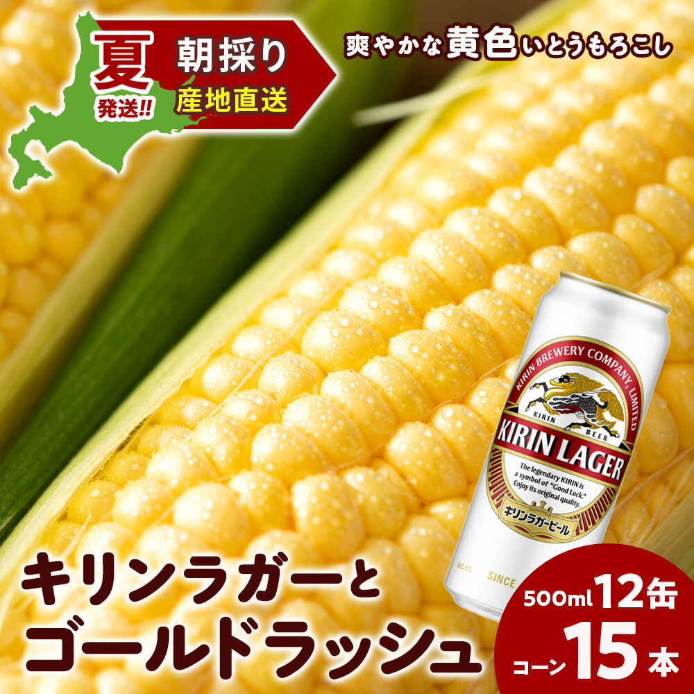 【ふるさと納税】2026年夏発送 キリンラガービール 500ml 12缶＆黄色いとうもろこしゴールドラッシュ15本 北海道千歳産 野菜 とうもろこし とうきび キリンビール 麒麟ビール ビール 【北海道千歳市】ギフト ふるさと納税 麒麟 KIRIN