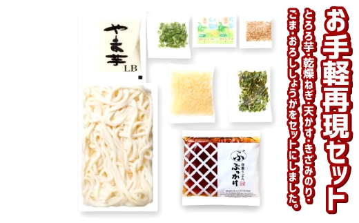 【3ヶ月定期便】とろろ細ぶっかけうどん 12人前×3回 うどん 麺類 麺 冷凍 ぶっかけうどん タレ つゆ 岡山県 倉敷市