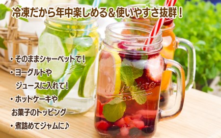 【先行予約】有機 冷凍ブルーベリー1.6kg(400g×4パック)