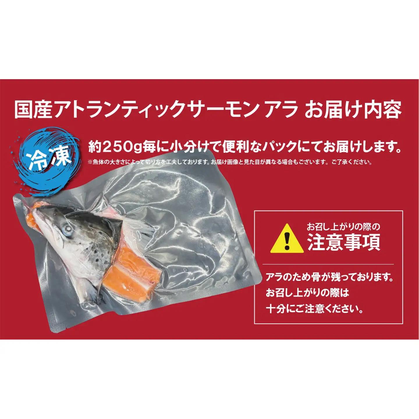 小山町産 アトランティックサーモン アラ×2P 約500g サーモン