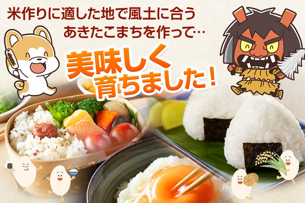 【R8年6月お届け分】あきたこまち 精米 20kg(10kg×2袋) なまはげの里 秋田県男鹿市産 笹川商店 白米 [あきたこまち ブランド米 お米 白米 精米 米どころ 秋田 秋田県産]