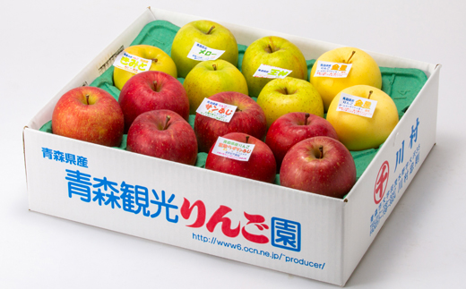 家庭用【8月中旬～随時発送】農家おススメ!旬のりんご約5kg(14玉～20玉入り)【配送不可地域：離島】