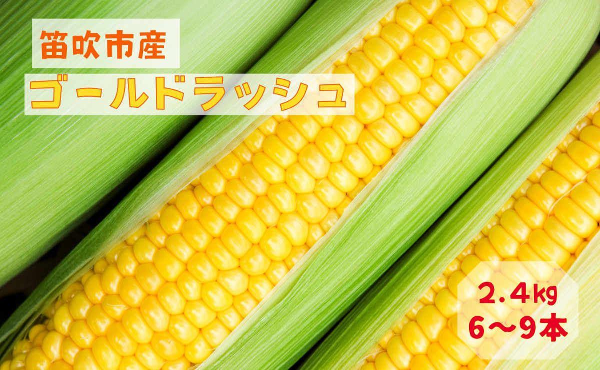 
            ＜25年発送先行予約＞笛吹市八代産とうもろこし「ゴールドラッシュ」2.4kg 167-003
          