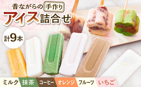 【手作りアイス】 全9種類 アイスまんじゅう アイスキャンディー 詰め合わせ 食べ比べ 9本入り 無香料 無着色 多治見市 / エイシン あずき 餡 ミルク いちご 抹茶 フルーツ オレンジ コーヒー アイス 無添加 自家製[THD012]