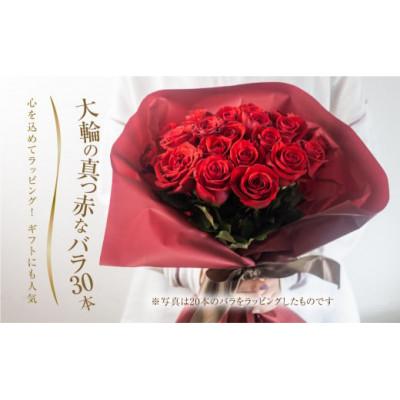 ふるさと納税 田原市 大輪のバラの花束 赤 30本 (40cm) |  | 01