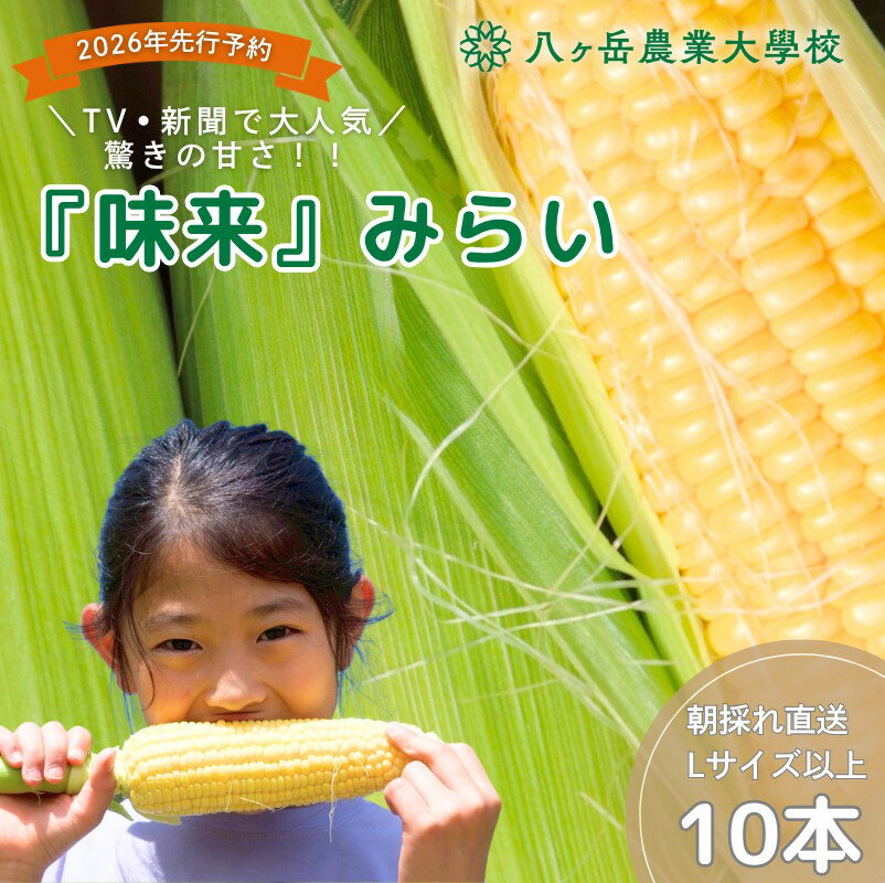 【ふるさと納税】 朝採れ 直送 フルーツのような甘さ 『 皮付き 』 生とうもろこし 10本 | 八ヶ岳農業大学校 とうもろこし トウモロコシ 自然 旨味 甘味 生食 信州 八ヶ岳 長野県 諏訪郡 原村