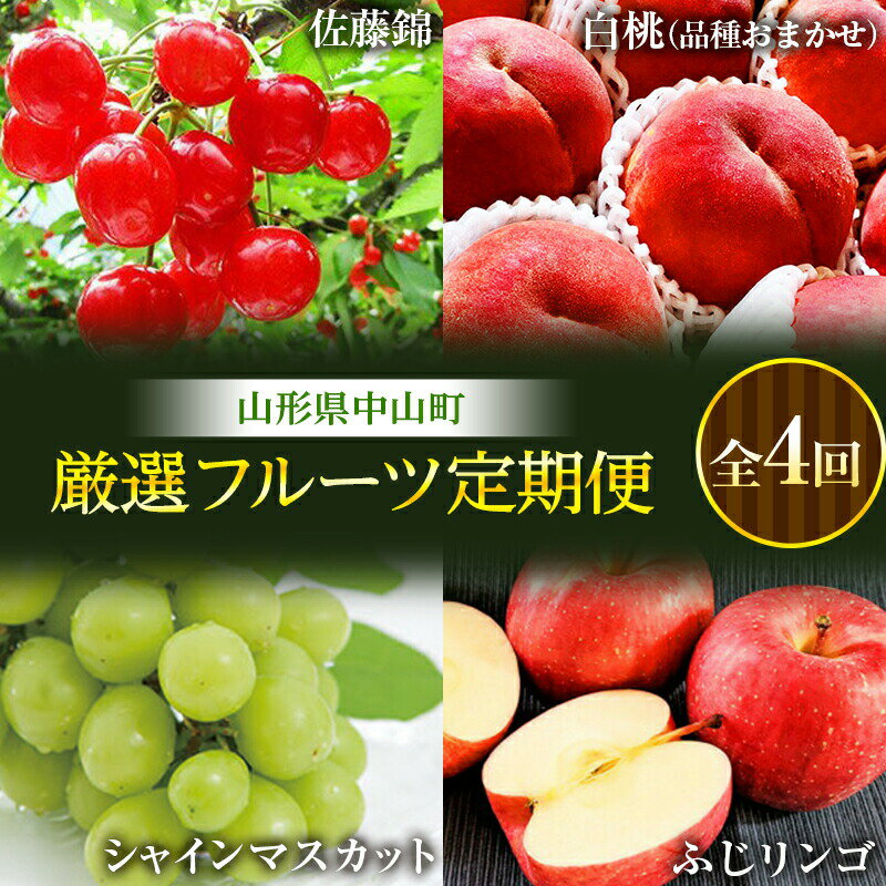 【ふるさと納税】 《先行予約》山形県中山町 厳選フルーツ定期便 全4回【2026年6月開始】 佐藤錦 白桃 シャインマスカット ふじりんご さくらんぼ モモ もも ブドウ ぶどう リンゴ 山形県産 フルーツ 果物 くだもの 連続 F4A-0367