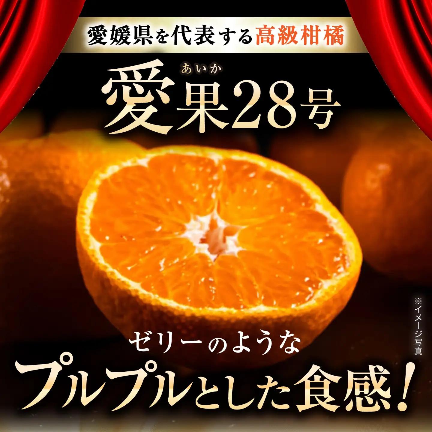 みかん 訳あり 愛果28号 サイズ不揃い 約5kg 約25玉【12月上旬から12月下旬まで順次発送】/ フルーツ 果物 蜜柑 ミカン オレンジ 訳あり 訳アリ 小玉 甘い 先行予約 5kg 愛媛 / 