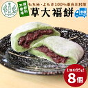 【ふるさと納税】草大福餅 8個 (1つ約95g) 冷凍 手作り 保存料不使用 草餅 草大福餅 よもぎ 蓬餅 ヨモギ 蓬 あんこ つぶあん 粒あん 北海道産 小豆 あずき 大福 餅 もち 餅米 もち米 和菓子 個包装 スイーツ 和スイーツ お菓子 おかし おやつ 東白川村 5000円