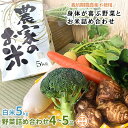 【ふるさと納税】【白米5kg】栽培期間農薬不使用『身体が喜ぶ野菜とお米』詰め合わせ(おまかせ)潮来はぐくみのもり【1068676】