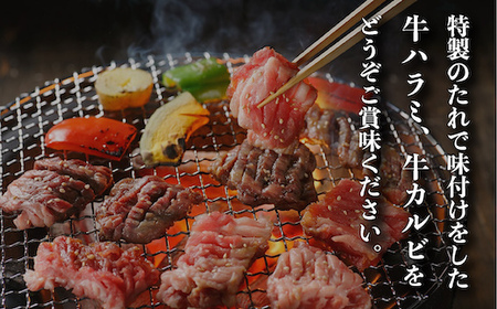 牛焼肉味付けセット約2.7kg 焼肉用牛肉 やきにく 焼き肉 牛肉 国産牛肉 牛焼肉 味付焼肉 焼肉 人気 大人気  人気焼肉 人気牛肉 大人気焼肉 大人気牛肉 ハラミ カルビ 福岡県 特産 EZ00