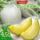 【ふるさと納税】【令和7年産 先行予約】産地直送！ 庄内砂丘グレースメロン 約4.5kg（3〜5玉）秀品 4L～2L玉 K-733 | 山形県 鶴岡市 フルーツ 果物 くだもの お取り寄せグルメ 青肉 めろん 特産品 名産品