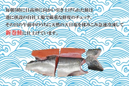 北海道産 新巻鮭 網元特製 半身2切れ 2kg 前後