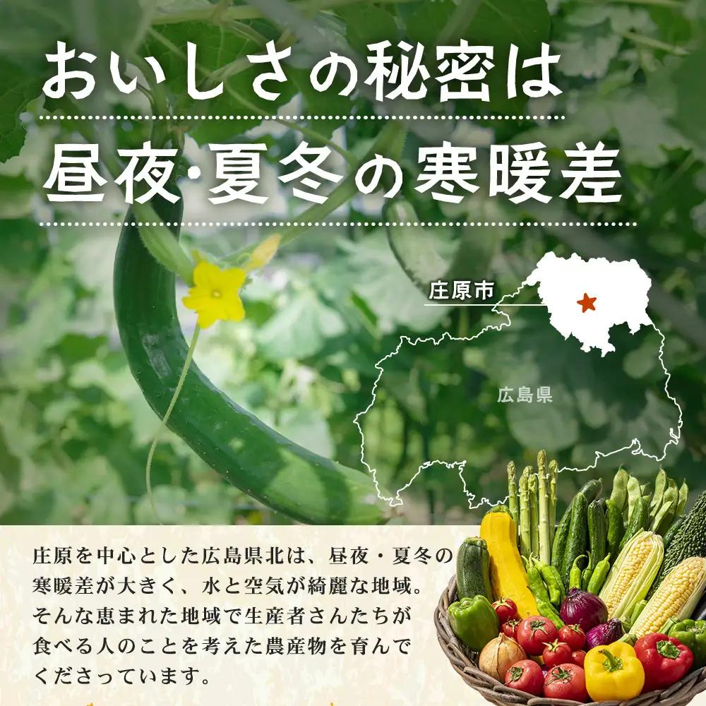 広島県庄原産「旬の野菜」詰め合わせ箱（13～15品目）野菜セット やさい