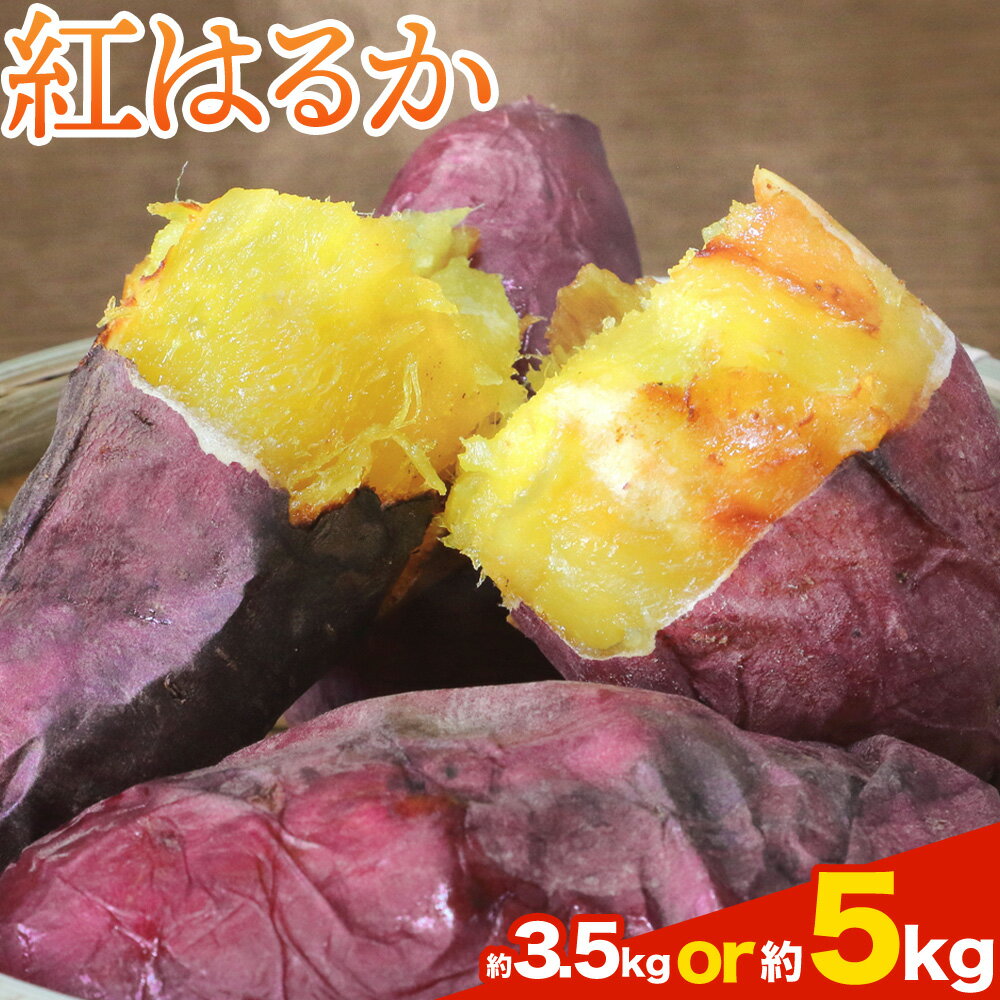 【ふるさと納税】さつまいも 紅はるか 選べる内容量 約3.5kg(5-25個) 約5kg(9-38個) 株式会社GGYパッケージ《2025年11月下旬-2026年4月上旬頃出荷》熊本県 菊池市 さつまいも 紅はるか 芋 いも 野菜 国産 焼き芋 スイートポテト 芋ようかん 大学芋 干し芋 旬 送料無料