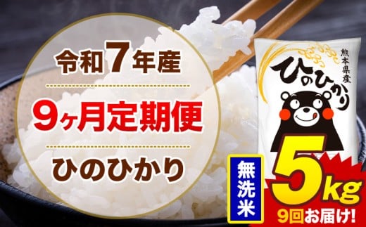 【9ヶ月定期便】米 令和7年産ひのひかり 無洗米 定期便 5kg 《お申込み翌月から出荷》熊本県 菊池市 国産 熊本県産 無洗米 精米 送料無料 ヒノヒカリ こめ お米