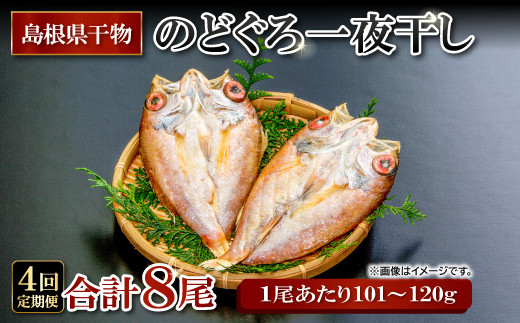 のどぐろ一夜干し 2尾 【4回定期便】【1尾あたり101～120g 2尾 のどぐろ干物 8枚 のどぐろ ノドグロ あかむつ アカムツ 新鮮 干物 一夜干し 個包装 小分け 真空パック 冷凍 贈答 父の日 母の日】