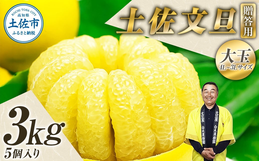 
                  【先行予約】【果樹園直送】土佐文旦 特選品贈答用 約3kg 3L～4Lサイズ 5個入り〈2027年2月中旬～3月下旬頃発送〉  /  大玉 ぶんたん ブンタン フルーツ 柑橘 みかん 果物 くだもの 柑橘類 デザート おやつ【白木果樹園】 [BQAI002]
                