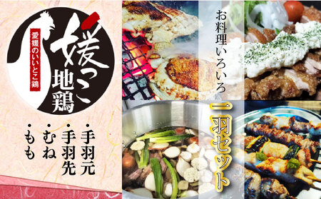 媛っこ地鶏 一羽セット もも むね 手羽先 手羽元 鶏肉 | 鶏肉 鶏肉 鶏肉 鶏肉 鶏肉 [THD002_x]