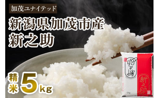 【令和6年産新米先行予約】新潟県産 新之助 精米 5kg （5kg×1袋） 東京・南青山の料亭で使用される極上米 加茂市 加茂ユナイテッド