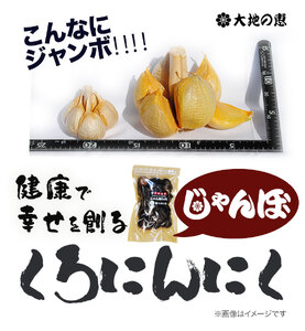 くろにんにく(じゃんぼミックス) 170g《30日以内に出荷予定(土日祝除く)》大阪府 羽曳野市 ニンニク 黒ニンニク じゃんぼ大蒜 大蒜 健康 スタミナ