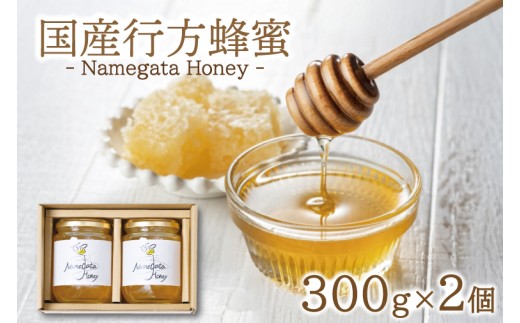 国産行方蜂蜜 300g×2個（専用ギフトBOX入り）｜はちみつ ハチミツ 蜂蜜 調味料 お菓子 栄養 国産 ギフト 贈り物 プレゼント 茨城県 行方市(HR-4)