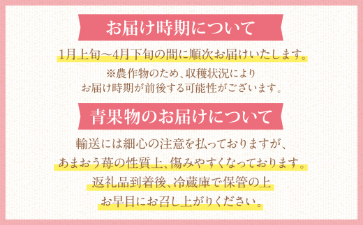 あまおう 苺 （2パック) アルギット農業 イチゴ いちご あまおう苺 自然農法 フルーツ 果物 福岡県産 福智町産 送料無料