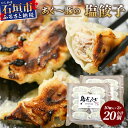 【ふるさと納税】あぐー豚 ぎょうざ 20個【ブランド豚 アグー豚 使用】 ぎょうざ 餃子 焼き餃子 水餃子 焼餃子 惣菜 おかず GS-3