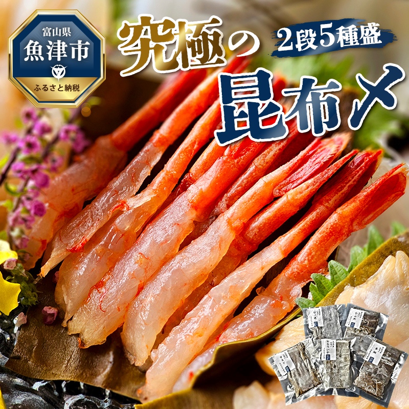究極の昆布〆,2段5種盛（急速冷凍品）魚卸問屋はりたや 富山県魚津市 昆布締め こぶじめ 刺身 天然昆布 ※北海道・沖縄・離島への配送不可