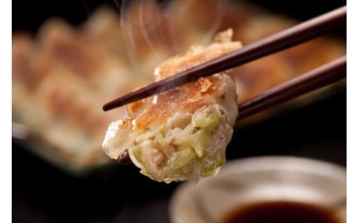 たれ屋のクロワッサン餃子2セット（生餃子48個入り×2・酢醤油たれ4本）　※「ラヴィット！」「櫻井・有吉THE夜会」でも紹介されました！