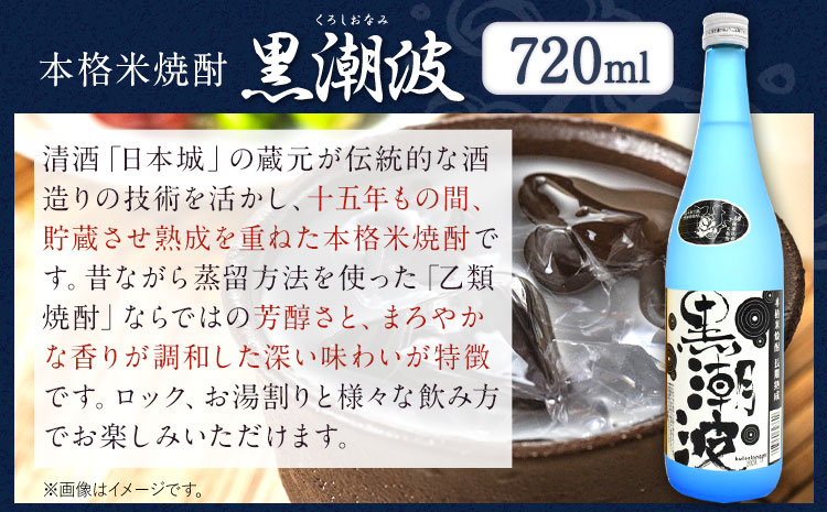 本格米焼酎黒潮波（くろしおなみ）720ml×2本厳選館《90日以内に出荷予定(土日祝除く)》酒本格米焼酎焼酎米焼酎---wsh_genkn_90d_22_13000_2p---