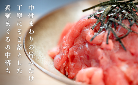 【12/23までの寄附で年内発送】マグロ 中落ち 800g 本まぐろ 刺身 ネギトロ まぐろたたき 金賞受賞 年末年始 正月 大容量