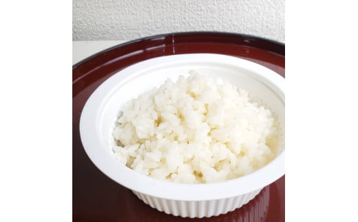  【定期便：6ヶ月連続でお届け】【令和7年産米】新潟県村上市岩船産 棚田米コシヒカリ  6kg（2kg×3袋）+パックごはん(150g×1個)×6ヶ月 1067115