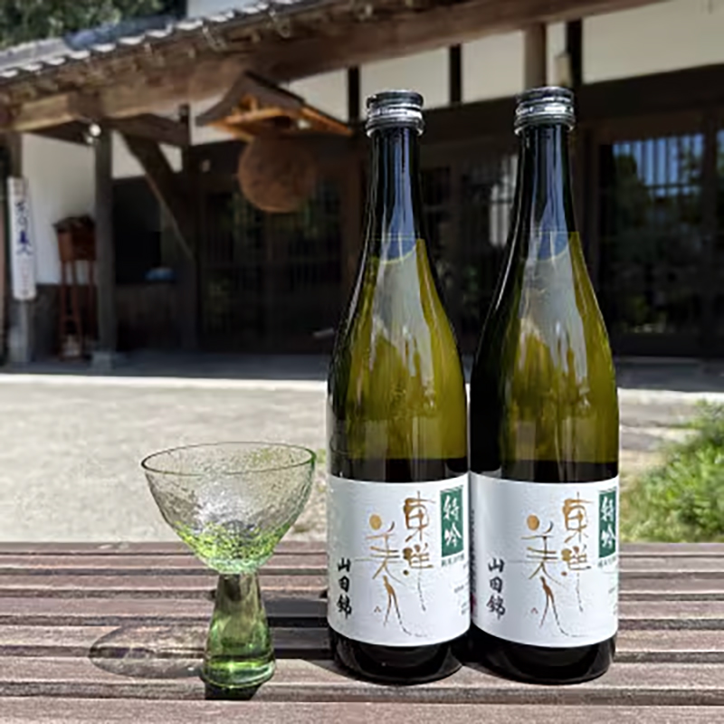 日本酒 新酒 東洋美人 特吟 山田錦 純米大吟醸 1本 720ml 福岡吟醸倶楽部株式会社《30日以内に出荷予定(土日祝除く)》福岡県 鞍手郡 鞍手町 酒 熱燗 送料無料