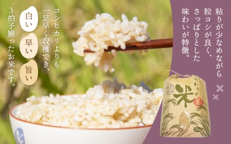 【新米】 令和7年産 ハナエチゼン 10kg 福井県産【玄米】【お米 はなえちぜん 華越前 10キロ】 [e30-b010]