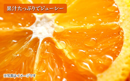 【2026年3月中旬より順次発送予定】不知火 5kg　/ しらぬい みかん 果実 柑橘 / 大村市 / おおむら夢ファームシュシュ [ACAA299]