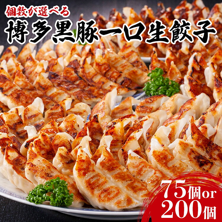 【ふるさと納税】 餃子 博多黒豚一口生餃子 量が選べる 75個 200個 博多 一口餃子 黒豚 国産 冷凍 簡単調理 お取り寄せ グルメ 福岡 老舗 おかず おつまみ 宅飲み 生餃子 ひとくち ギョーザ ぎょうざ 小さめ 夜食 惣菜 冷凍食品 家庭用