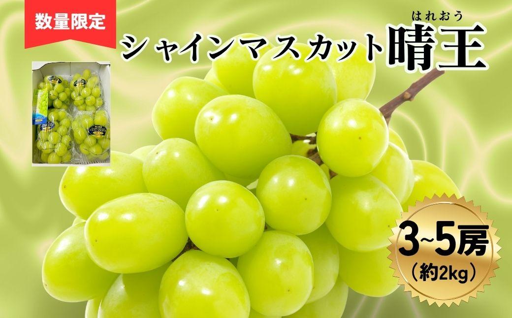 シャインマスカット晴王3～5房（約2ｋｇ）